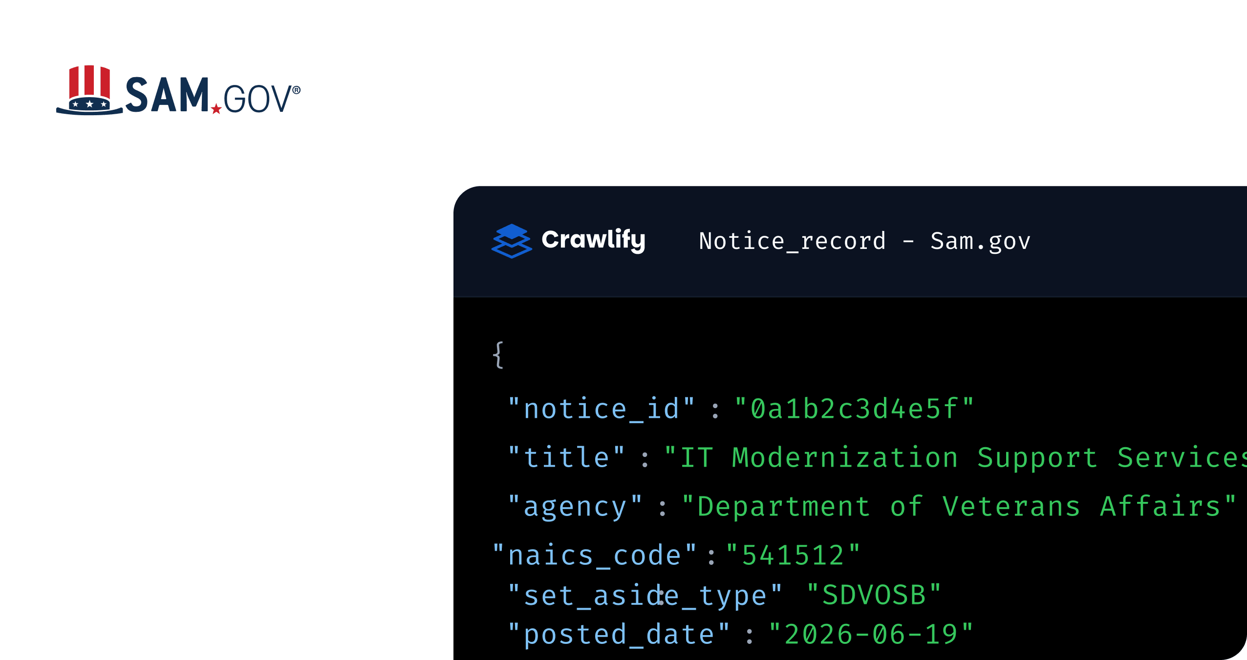 A SAM.gov notice_record shown as JSON — notice ID, title, agency, NAICS code, set-aside type and posted date — beside a panel of delivery formats